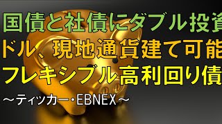 国債と社債にダブル投資 ドル、現地通貨建て可能 新フレキシブル高利回り債 [upl. by Aneloc]