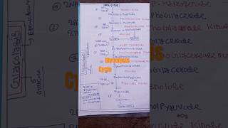 Glycolysis cycle pathway easy to way norcet [upl. by Ytissahc]