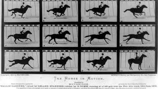 The Weird World of Eadweard Muybridge [upl. by Nnylasor]