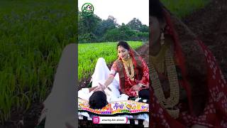 ગીર 🦁 😍💫 Ahir🥰ahirani status  Ahir Traditional Pre Wedding Short ahirani youtubeshorts viral [upl. by Solraced]