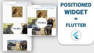 Positioned Widget Flutter Tutorial [upl. by Emiatej]