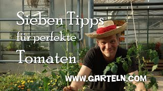 Tomaten pflanzen  Sieben Tipps für perfekte Tomaten 🍅 in eurem Garten und auf dem Balkon [upl. by Dahij]