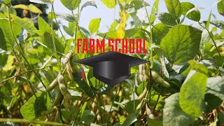 How to grow earlyplanted soybeans  Farm School  Successful Farming [upl. by Anawek]