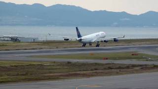 EgyptAir Airbus A340200 SUGBN landing at KIX [upl. by Neeneg]