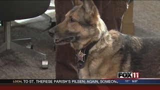 Donation helps Outagamie Co Sheriff pay for new K9 [upl. by Rehtul]