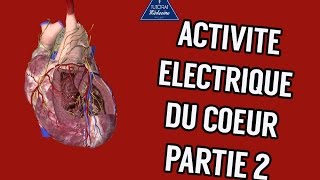 Physiologie Cardiaque  Activité électrique du coeur Part2 [upl. by Hanshaw983]