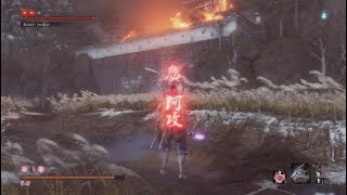 200 hours on Sekiro makes YOU the BOSS [upl. by Leis]