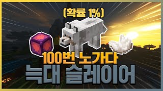 오랜만에 돌아온 늑대 슬레이어 오버플렉스 재료를 얻었을까요 하이픽셀 스카이블럭Hypixel Skyblock Wolf Slayer [upl. by Amolap]