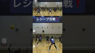 【ソフトバレー】レシーブ合戦❗❗【新発田市連盟杯】 [upl. by Nohsav]