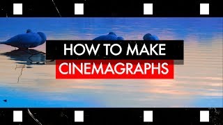 How to make your Pictures come ALIVE using a CINEMAGRAPH  Photoshop Tutorial [upl. by Anaz371]