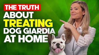 What you REALLY need to know about treating dog GIARDIA at home [upl. by Lillywhite83]