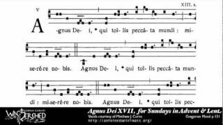 Agnus Dei XVII from Mass XVII Gregorian Chant [upl. by Eiramannod]