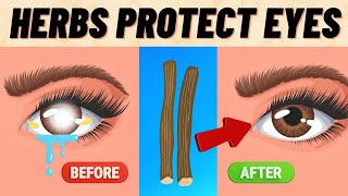 6 Herbs That Protect Eyes and Repair Vision [upl. by Navy]