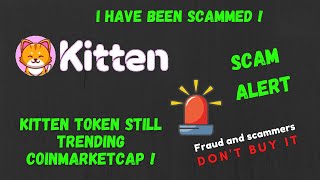 I have been Scammed and lost 100  Kitten Token Scam Exposed [upl. by Betty]