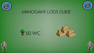 Ironman Mahogany Logs Guide  Top 3 Methods  OSRS Construction [upl. by Rocco]