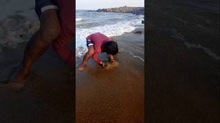 Catching Mole Crabs with Empty Hand fishing fishingvideos thoondilulagam seafishing [upl. by Sarilda115]