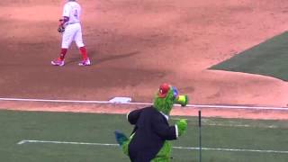 The Phillie Phanatic  quotNew York New Yorkquot [upl. by Weatherby315]