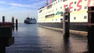 Landal GreenParks  Video regio waddeneiland Texel [upl. by Ahsinel414]