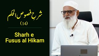 Sharh e Fusus al Hikam by Ibn Arabi 14 شرحِ فصوص الحکم  Ahmad Javaid  احمد جاوید [upl. by Ognimod]