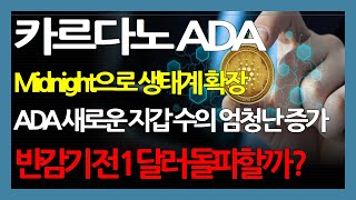 카르다노 ADA Midnight으로 생태계 확장 ADA 새로운 지갑 수의 엄청난 증가 반감기 전 1 달러 돌파할 까 [upl. by Ailecnarf286]