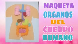 MAQUETA DEL CUERPO HUMANO  ORGANOS DEL CUERPO [upl. by Michal658]