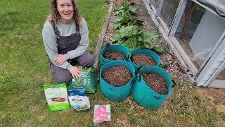 StepbyStep Potato Planting in Containers  Grow Bag Planting Care and Harvest Guide [upl. by Hepza826]