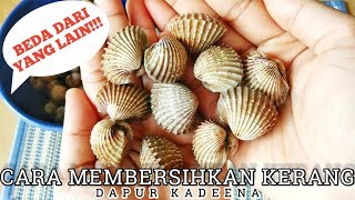 Cara Membersihkan Kerang Paling Mudah [upl. by Eleen198]