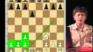 Echecs Défense Petrov 1 e4 e5 2 Cf3 Cf6 Partie commentée [upl. by Bekaj]