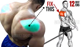 12 BEST REAR DELTOID EXERCISES WITH BARBELL ONLY [upl. by Kneeland]