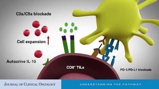 Interleukin10 An ImmuneActivating Cytokine in Cancer Immunotherapy [upl. by Udela]