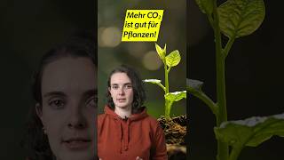 Mehr CO2 ist gut für Pflanzen [upl. by Madi789]