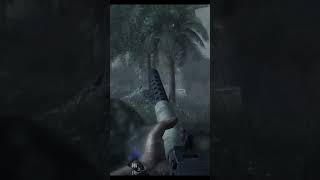 BLOWTORCH and CORKSCREW the definition of insanity shorts worldatwarshorts callofduty [upl. by Hsekar435]