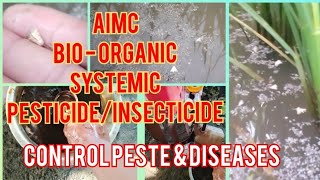 Part2 999 Effective BIOORGANIC SYSTEMIC PESTICIDEInsecticide Control Pests or Diseases in Rice [upl. by Einram]