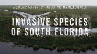 Invasive Species of South Florida  Documentary  AAHSFF 2020 Official Selection [upl. by Otho]