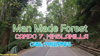 Man Made Forest in Campo 7 Minglanilla Cebu Philippines 🇵🇭 [upl. by Notsa]