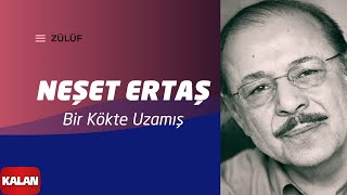 Neşet Ertaş  Bir Kökte Uzamış I Zülüf Dökülmüş Yüze © 1999 Kalan Müzik [upl. by Helaine]