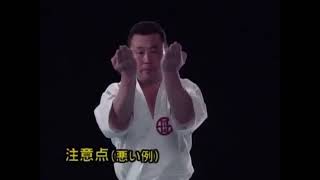 Seienchin  Kata amp Bunkai  Shito Ryu Karate [upl. by Sidras]