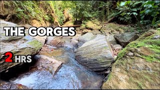 4K The Gorges  Forest Gorge  Mountain Stream  SleepStudyRelax sounds Nature Sounds [upl. by Artemisia]