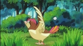 Ash Atrapa A Pidgeotto [upl. by Peg]