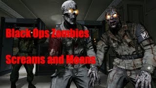 Call of Duty Zombies Sound Effects [upl. by Karla]