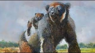 The Giant Extinct Lemurs of Madagascar [upl. by Georgy81]