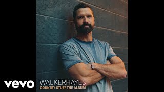 Walker Hayes  Delorean Official Audio [upl. by Enos685]