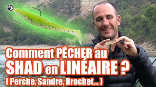 Comment pêcher au SHAD en LINEAIRE  perche sandre brochet [upl. by Ynaffyt]