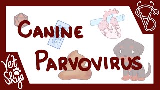 Canine Parvovirus  causes pathophysiology clinical signs diagnosis treatment prevention [upl. by Aicrop507]