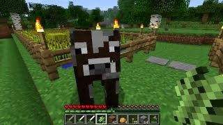 Minecraft Prezivljavanje ep77 Srpski Gameplay [upl. by Ademla369]