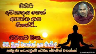 බුදුන් වහන්සේ ඔබ දැක තිබේද Gothatuwe Rewatha Himi ගොතටුවේ රේවත හිමි Bana Darma Deshanawa බණ දේශනාව [upl. by Ariajaj]