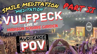 Smile Meditation PART II AUDIENCE POV Vulfpeck LIVE at Madison Square Garden  Andy Pacer [upl. by Thaddeus]