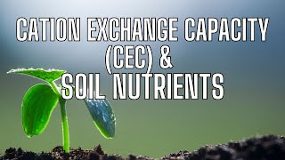 Cation Exchange Capacity CEC In Soils [upl. by Neyu638]