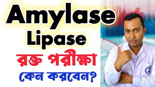 Amylase Lipase Blood test  Amylase Lipase পরীক্ষা কেন করবেন  Amylase Lipase normal range [upl. by Llehsam296]