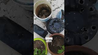 Potting SoilGardening SeriesPart 2गमले की मिट्टी बनाना सिखेसिरीज ashasgardenstoryshorts [upl. by Agna]